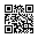QR CODE 484