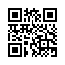 QR CODE 491