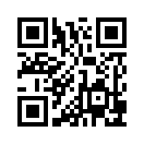 QR CODE 529