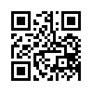 QR CODE 53