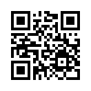 QR CODE 110