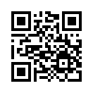 QR CODE 133