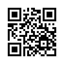QR CODE 179