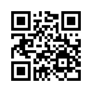 QR CODE 228