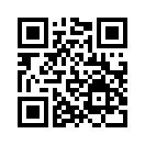 QR CODE 272