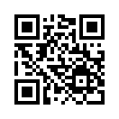 QR CODE 317