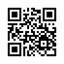 QR CODE 329