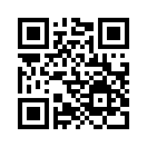 QR CODE 336