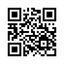 QR CODE 394