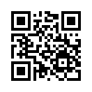 QR CODE 446