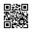 QR CODE 461