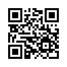 QR CODE 494