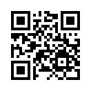 QR CODE 495