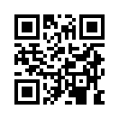 QR CODE 501