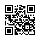 QR CODE 511