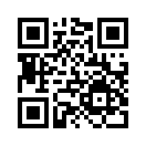 QR CODE 521