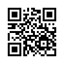 QR CODE 534