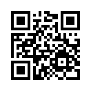 QR CODE 538