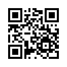 QR CODE 545
