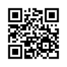 QR CODE 558