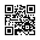 QR CODE 584