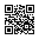 QR CODE 677