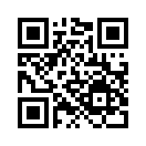 QR CODE 729