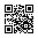 QR CODE 734