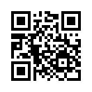QR CODE 736