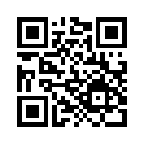 QR CODE 737