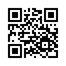 QR CODE 766