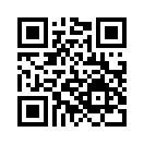 QR CODE 790
