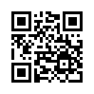 QR CODE 813