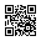 QR CODE 858