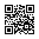 QR CODE 861