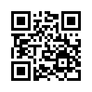 QR CODE 863