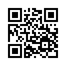 QR CODE 866