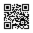 QR CODE 877