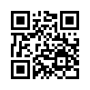 QR CODE 878