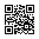 QR CODE 913