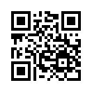 QR CODE 917