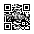 QR CODE 919