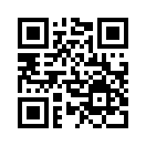 QR CODE 955