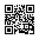 QR CODE 1299