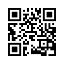 QR CODE 1333