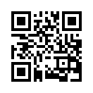 QR CODE 1337