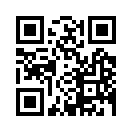 QR CODE 1338