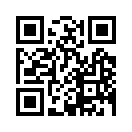 QR CODE 1381