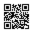QR CODE 329