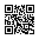 QR CODE 461